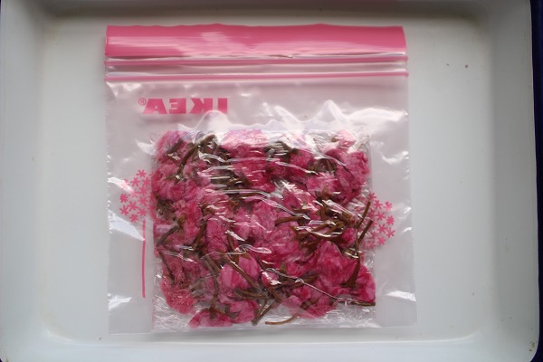 桜の塩漬け保存方法